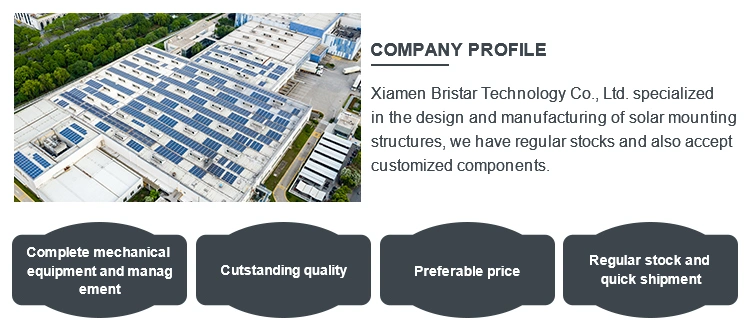 Ground Mounting Solar PV Plant System with C Steel Pile Solar Screw